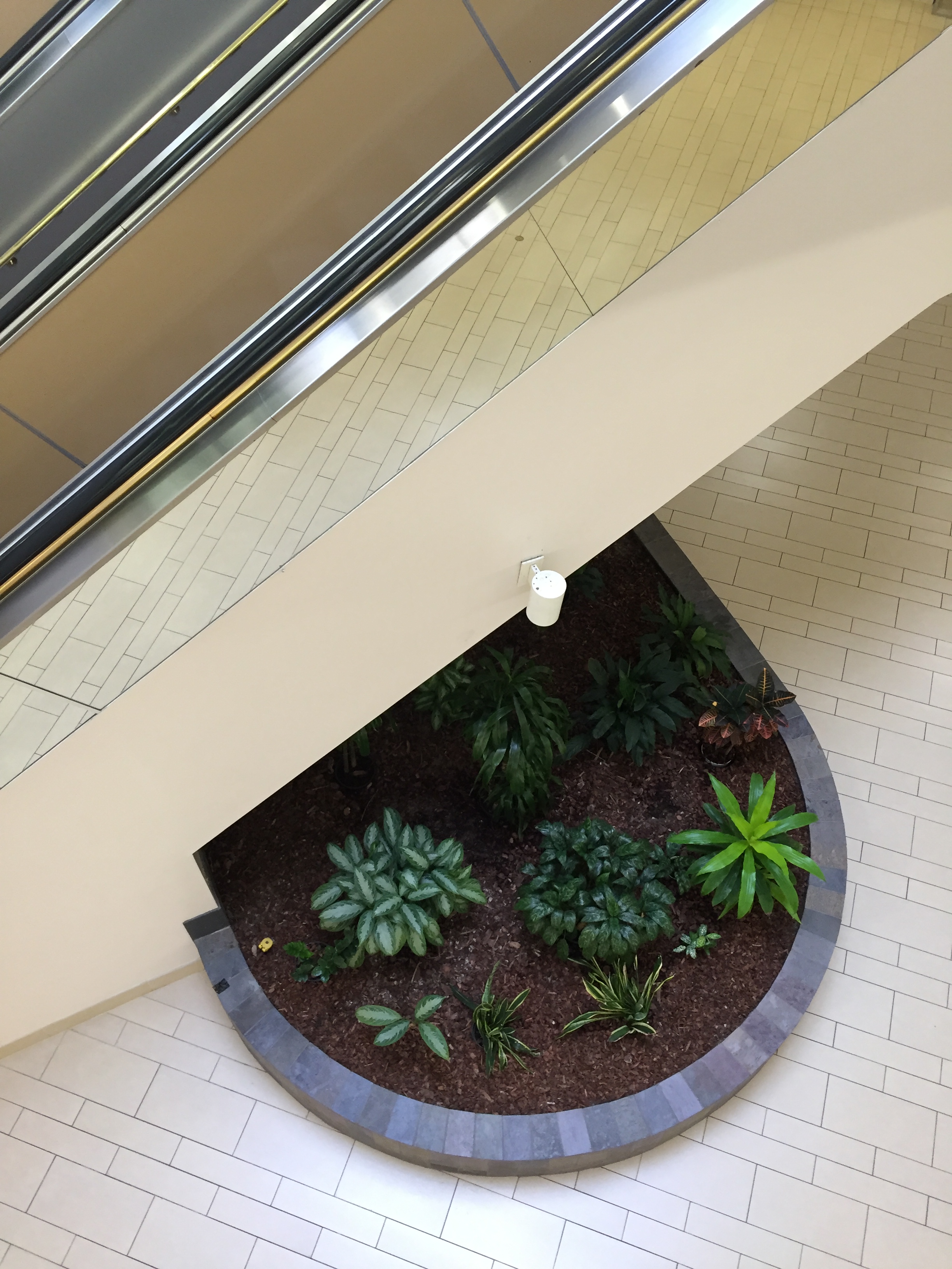 The view of a large, circular planter from the top of the escalator at Vallco Fashion Park in Cupertino, CA. A mirror on the side of the escalator captures the reflection of the cream-colored tile flooring.