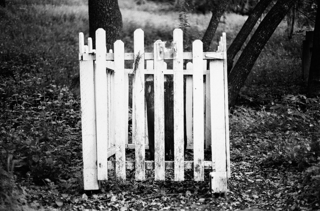 A black and infrared image shows a small, probably 3 feet by 4 feet white picket fence in the middle of a forest like area.  Inside the fence is a barely visible, wooden headstone.  The wood is aged and leaning forward.  There are leaves scattered all over the ground, and a few tree trunks jut out in the background.  