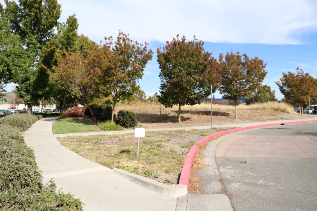 a dirt lot is covered in dead weeds, and is surrounded by trees, and a sidewalk.  a small white sign is in the foreground, but it is unreadable.  